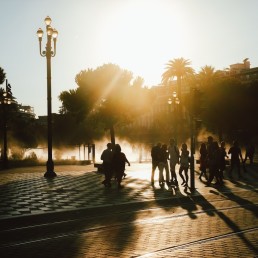 silhouette photo of people at park during golden hour