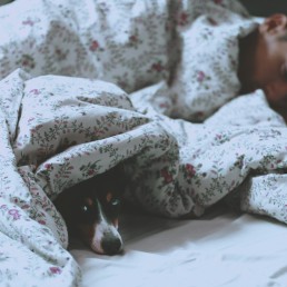 man lying on bed beside short-coated black dog